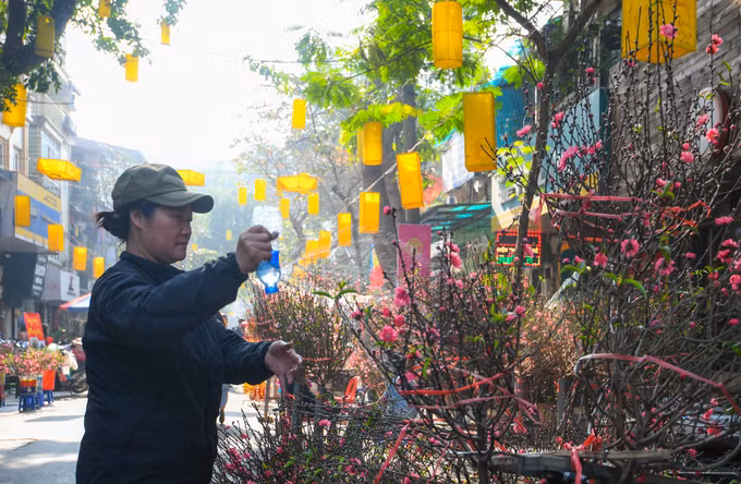 Chị Hòa, một người bán đào tại chợ cho hay, càng những ngày cận Tết chị bán càng đắt hàng: “Tôi bắt đầu bán từ một tuần nay nhưng đến 20 tháng Chạp mới bắt đầu đông khách. Năm nay, những cành đào nhỏ bán chạy hơn năm trước. Khách thích những cành nhỏ để bày ban thờ từ trước 23 tháng Chạp, hoặc họ mua cầm đi chụp ảnh cho tiện”.