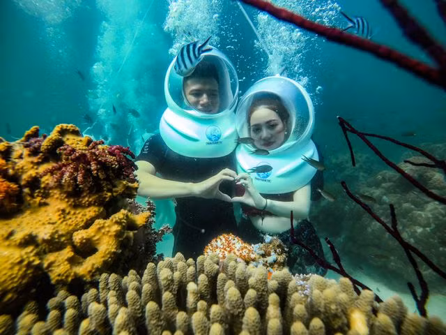 San hô ở Phú Quốc đa dạng với nhiều loại, rực rỡ sắc màu mang đến cho du khách những trải nghiệm thú vị