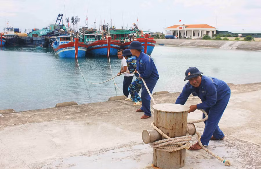 Các lực lượng cho tàu cá ngư dân vào neo đậu để tránh trú bão. Ảnh: Quang Tấn Các lực lượng cho tàu cá ngư dân vào neo đậu để tránh trú bão. Ảnh: Quang Tấn