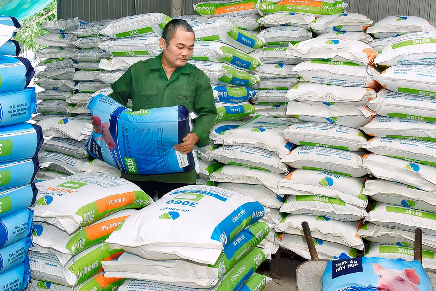  Vợ chồng ông Trưởng sử dụng nguồn thức ăn hỗn hợp được nhập từ nhà máy đảm bảo dinh dưỡng cho đàn heo.