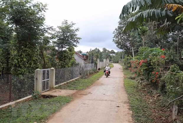  Đường giao thông nông thôn xã Ea Knuếc (huyện Krông Pắk) khang trang sạch đẹp. Xã Ea Knuếc đạt chuẩn nông thôn mới năm 2020. (Ảnh: Vũ Sinh/TTXVN)