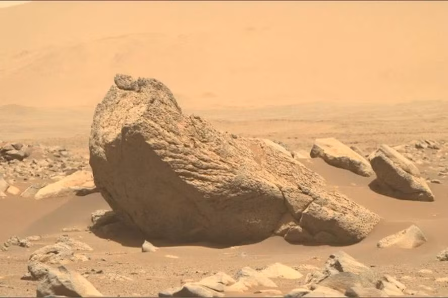 Tảng đá sao Hỏa hình hải mã. Ảnh: NASA