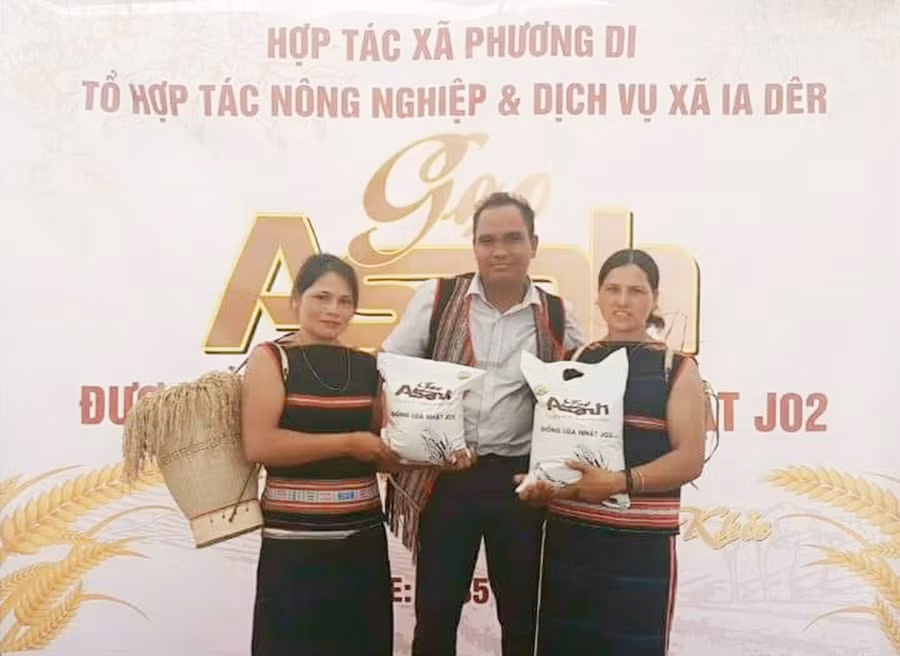 Huyện Ia Grai đang hướng đến xây dựng thương hiệu gạo A Sanh thành sản phẩm OCOP. Ảnh: Vũ Thảo