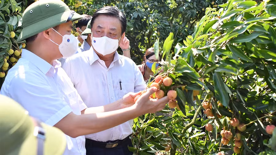 Ông Lê Minh Hoan cho rằng, chuyển đổi số trong nông nghiệp là xu thế tất yếu, minh bạch thông tin dữ liệu để kết nối cung - cầu - Ảnh Văn Giang Ông Lê Minh Hoan cho rằng, chuyển đổi số trong nông nghiệp là xu thế tất yếu, minh bạch thông tin dữ liệu để kết nối cung - cầu - Ảnh Văn Giang