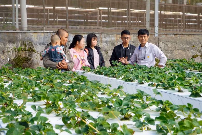 …Giao lưu học hỏi giữa các thế hệ nông dân (Ảnh chụp trước ngày 27/4)