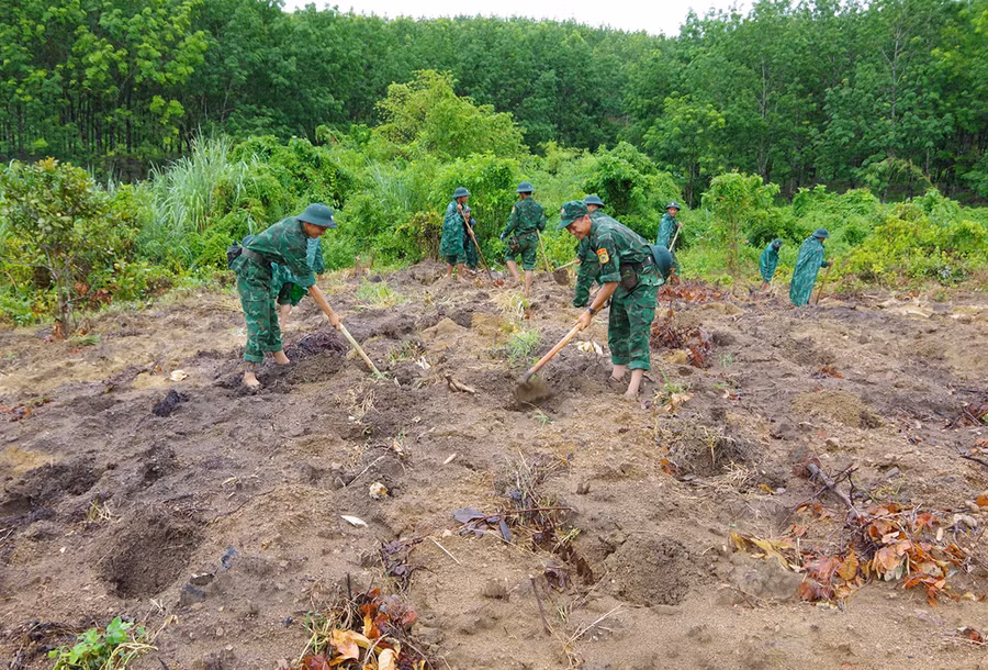 Ngay sau lễ phát động, cán bộ, chiến sĩ đã tiến hành trồng cây. Ảnh: Anh Huy