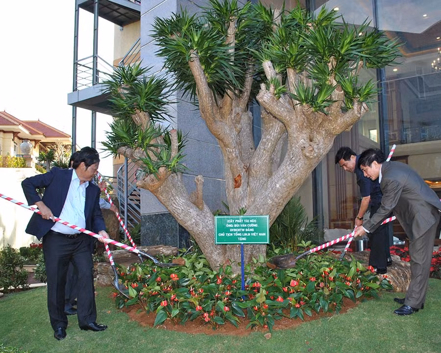 Đồng chí Bùi Văn Cường trồng cây đầu năm tặng Tập đoàn Đức Long Gia Lai. Ảnh: Lan Tiên