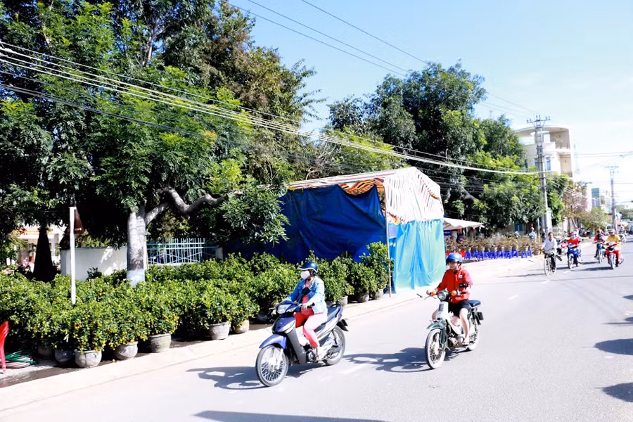 Hoa tết đã được bày bán ở nhiều tuyến đường nội thị.