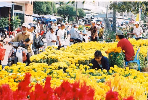 Chợ hoa ngày Tết