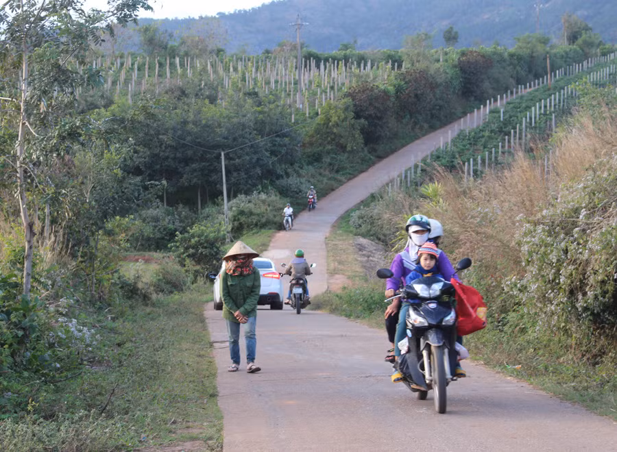  Một con đường ở xã Đak Yă được bê tông hóa. Ảnh: N.G