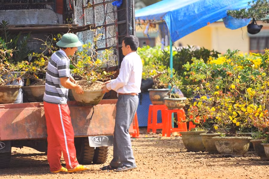 Nhiều loại hoa, quả được chủ hàng mang đến chợ hoa. 5