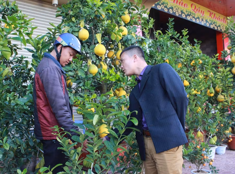 Người dân Phố núi không chần chừ ghé thăm và mua các chậu kiểng lạ mắt. Ảnh: Hồng Thi