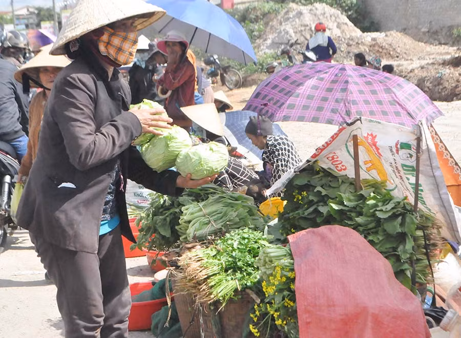  Khách hàng chọn mua những trái bắp sú từ vườn tươi ngon. Ảnh: Trần Dung