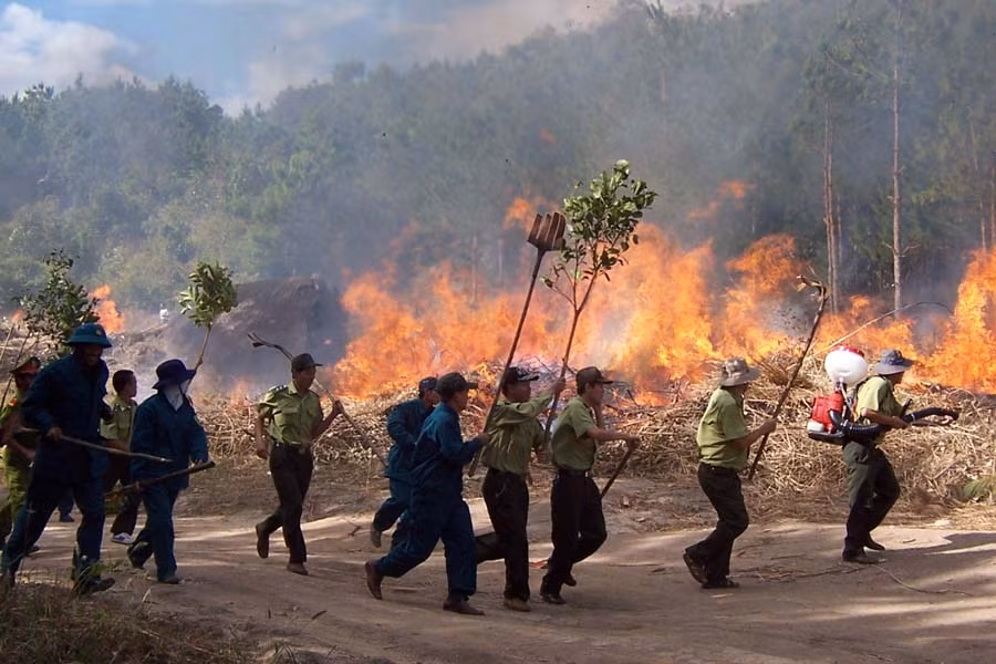 Diễn tập phòng cháy chữa cháy rừng. Ảnh: Q.T