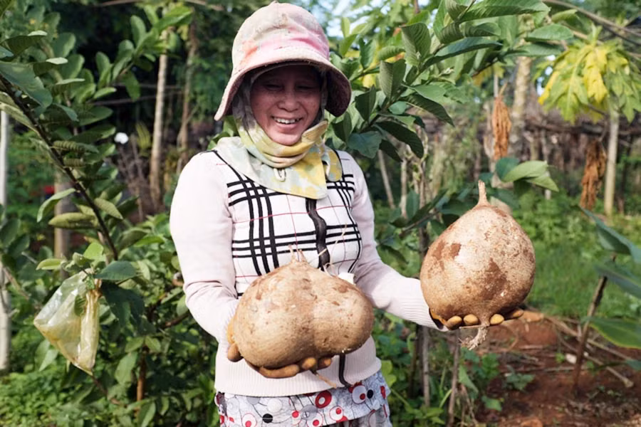  Bà Liễu phấn khởi 