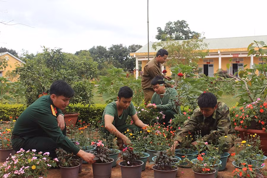 Cán bộ, chiến sĩ Lữ đoàn 273 chăm sóc vườn hoa xuân. Ảnh: P.D Cán bộ, chiến sĩ Lữ đoàn 273 chăm sóc vườn hoa xuân. Ảnh: P.D