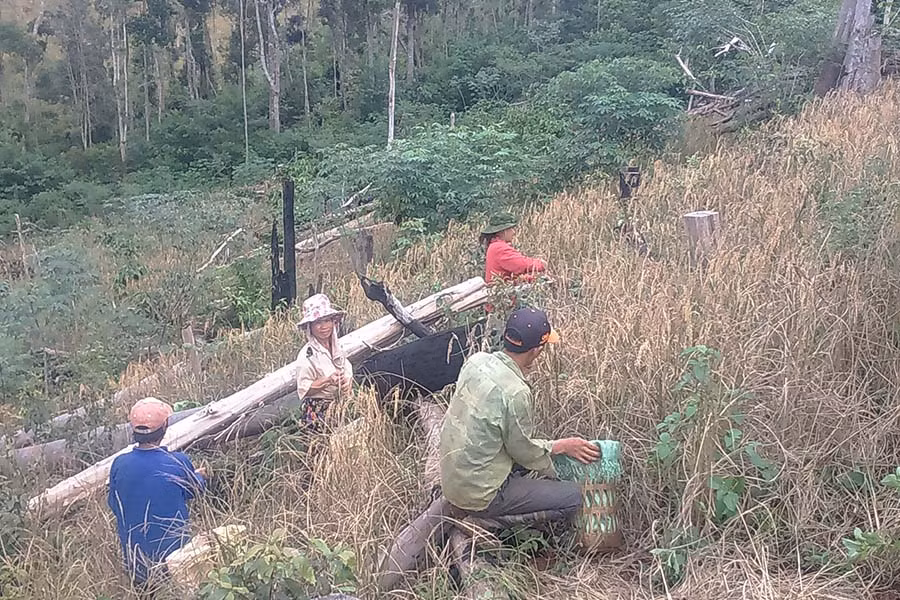 Mùa thu hoạch lúa “bọc thép”. Ảnh: T.H