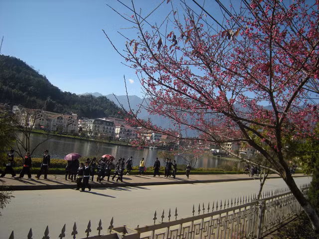 aa