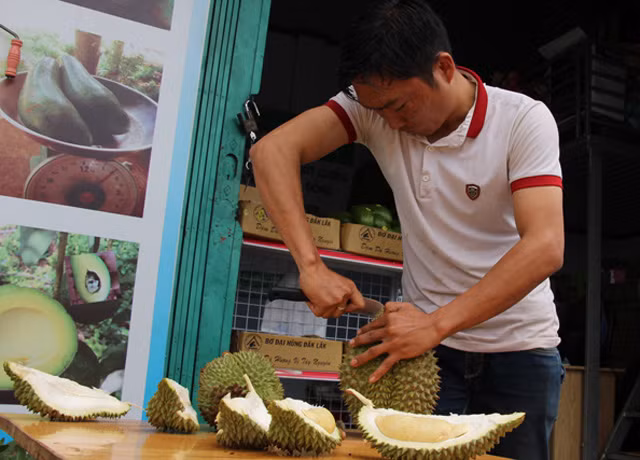Để có hạt giống chất lượng, một số cơ sở đã mua sầu riêng về bán rẻ lại cho người ăn tại chỗ để lấy hạt.