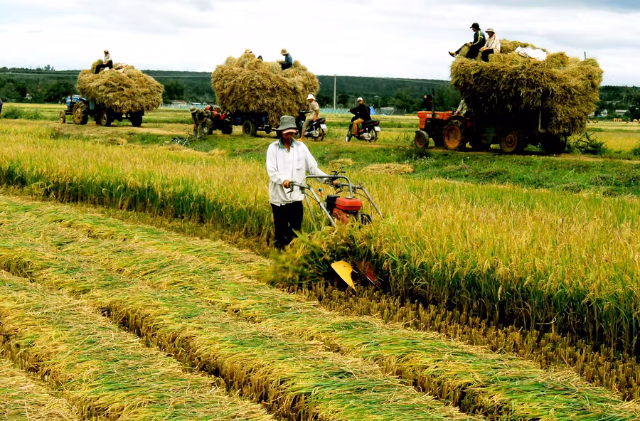 Nông nghiệp không còn gắn với nông dân chân lấm tay bùn mà cơ giới hóa, điều khiển tự động. (ảnh nguồn internet)