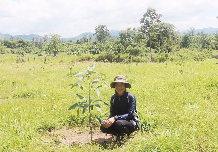 Nhờ tham gia mô hình, nhiều hộ đã có điều kiện để cải tạo vườn tạp. Ảnh: H.T