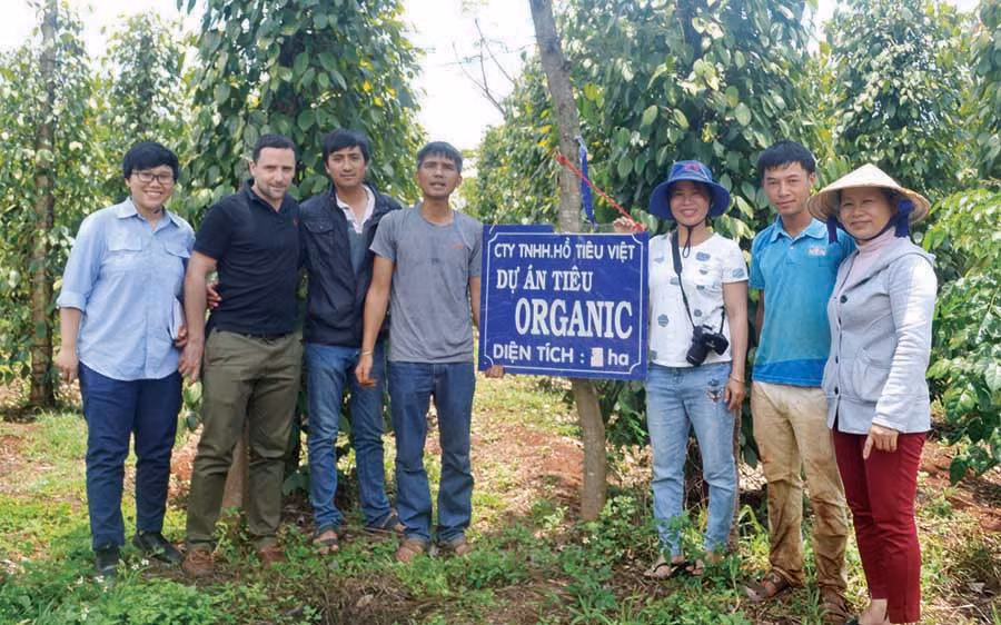 Phong trào nông nghiệp hữu cơ lan rộng trên địa bàn tỉnh. Ảnh: L.L
