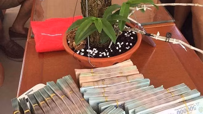Một người đàn ông Hải Phòng mua giò lan giá 700 triệu đồng. Ảnh: Pháp luật TP.Hồ Chí Minh.