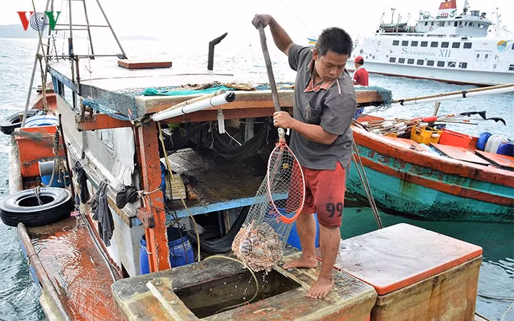  Điểm nhấn trong bức tranh tuyệt sắc của Nam Du là cảnh sắc thơ mộng.
