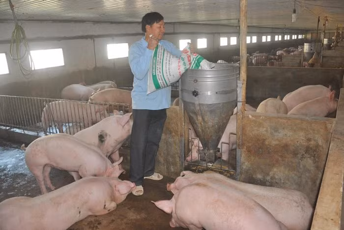 Trước tình hình giá thịt lợn tăng cao ngất ngưởng, .Bộ NN-PTNT vừa ra công văn hoá tốc yêu cầu các tỉnh ổn định nguồn cung thịt lợn