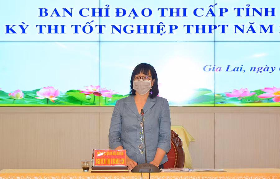 Phó Chủ tịch UBND Nguyễn Thị Thanh Lịch phát biểu chỉ đạo tại cuộc họp. Ảnh: Hồng Thi