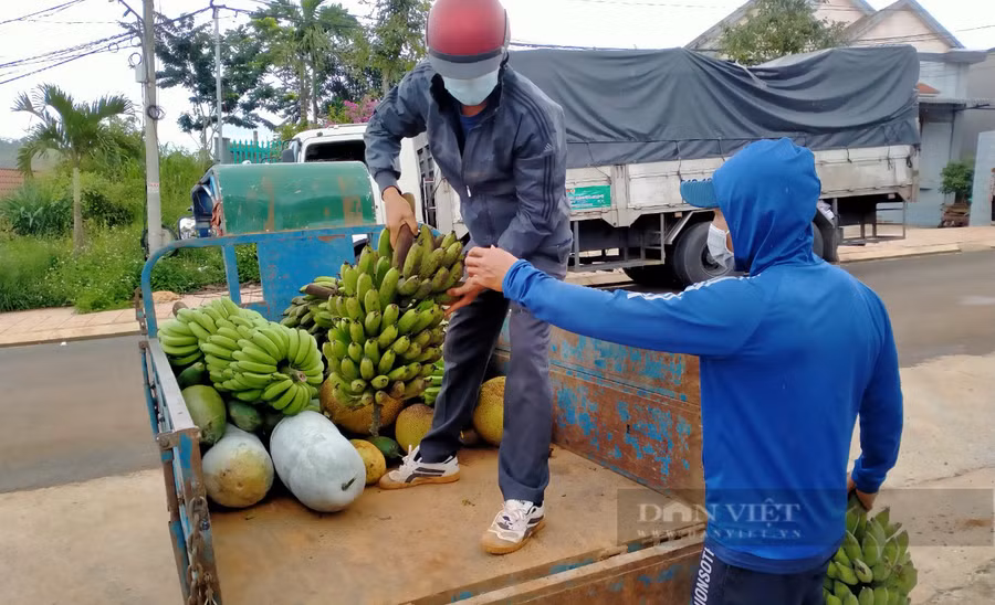 Có khi chỉ là nải chuối. Ảnh: Duy Hậu.