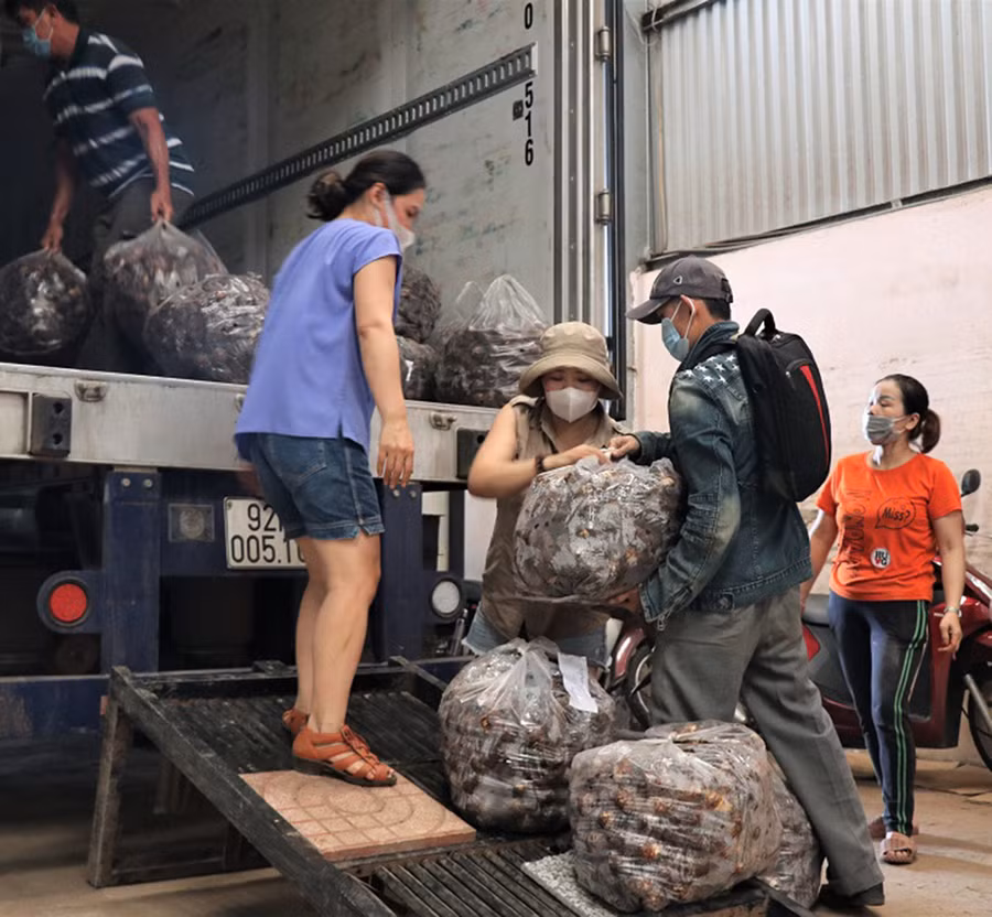 Đông đảo người dân từ khắp nơi đến điểm tập kết hàng hóa tại số 576 Trường Chinh để giúp bốc xếp rau củ lên xe container.
