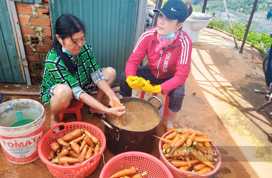 Cà rốt sau khi thu hoạch về được rửa sạch trước khi đóng gói. Ảnh: Duy Hậu.
