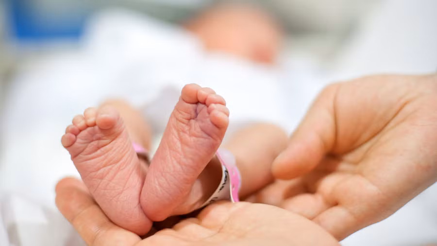 Các chuyên gia ước tính việc xuất hiện thai trong thai có tỷ lệ chỉ 1/500.000 ca sinh. Ảnh: Shutterstock Các chuyên gia ước tính việc xuất hiện thai trong thai có tỷ lệ chỉ 1/500.000 ca sinh. Ảnh: Shutterstock