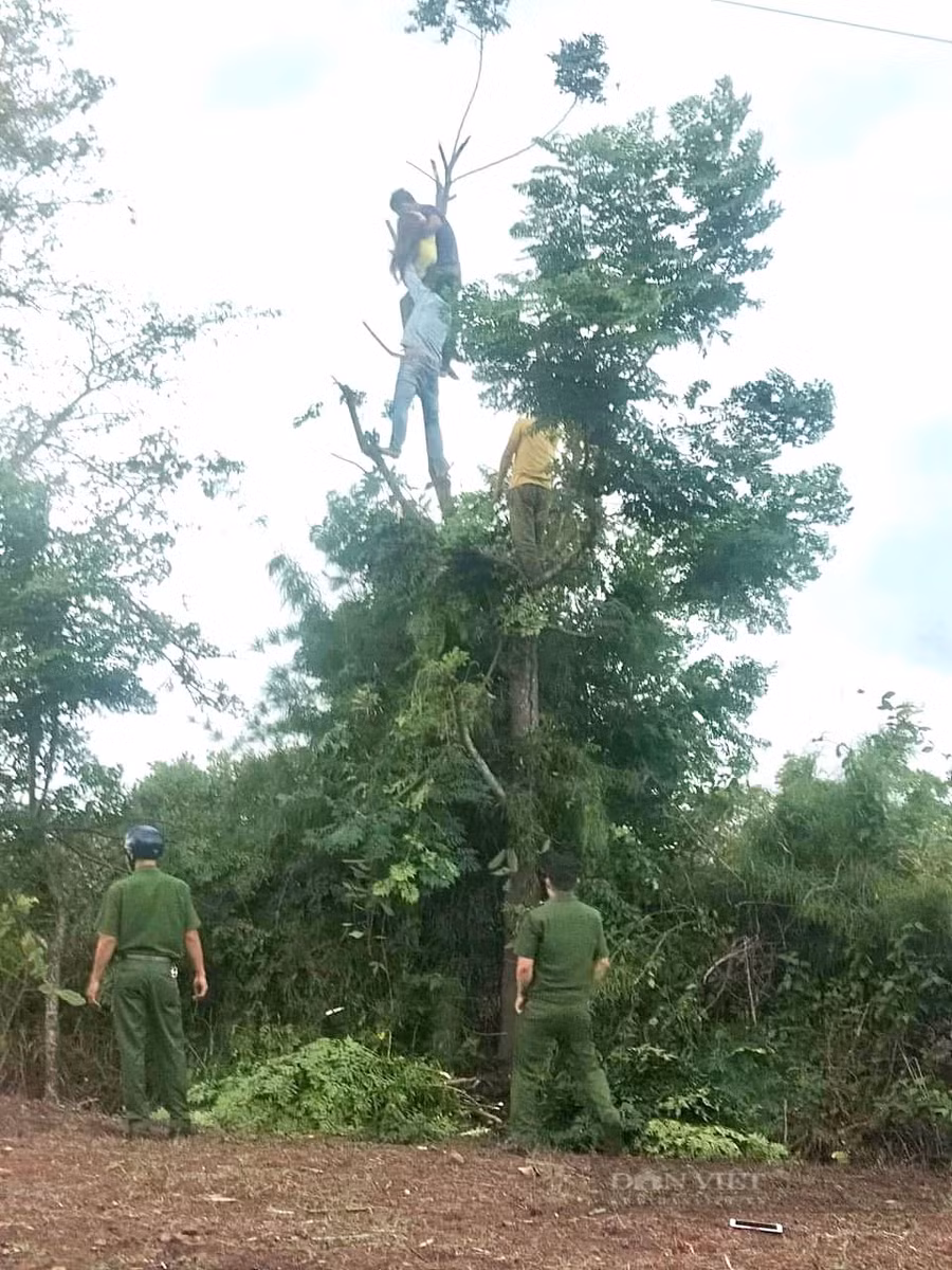 Lực lượng chức năng đưa thi thể chị H’Mem Aroh từ trên cây xuống. Ảnh: N.G