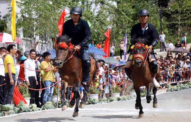 Các nài ngựa thi đấu trong lễ hội đua ngựa Bắc Hà, tỉnh Lào Cai. (Ảnh: Quốc Khánh/TTXVN) Các nài ngựa thi đấu trong lễ hội đua ngựa Bắc Hà, tỉnh Lào Cai. (Ảnh: Quốc Khánh/TTXVN)