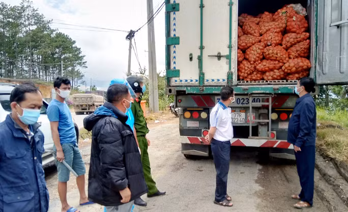 Lực lượng chức năng TP Đà Lạt phát hiện và tạm giữ 29 tấn khoai tây Trung Quốc. Lực lượng chức năng TP Đà Lạt phát hiện và tạm giữ 29 tấn khoai tây Trung Quốc.