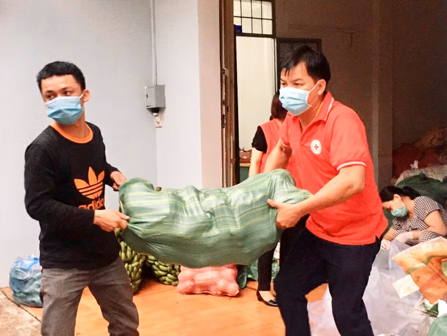 Cán bộ, nhân viên Hội Chữ thập đỏ tỉnh chuyển củ quả ra xe để vận chuyển vào TP. Hồ Chí Minh. Ảnh: Như Nguyện