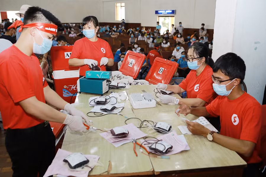 Các tình nguyện viên phân loại nhóm máu sau khi tiếp nhận. Ảnh: Phan Lài Các tình nguyện viên phân loại nhóm máu sau khi tiếp nhận. Ảnh: Phan Lài
