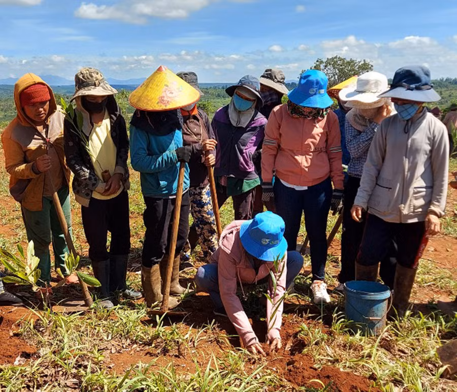  Hội viên xã Lơ Pang tham gia trồng cây. Ảnh: Hồng Thương