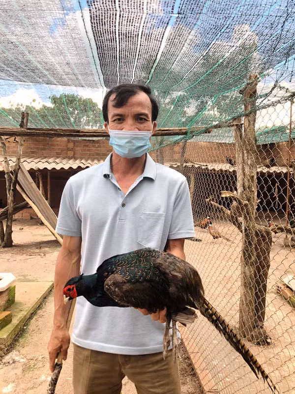 Anh Nguyễn Đắc Thiện, tổ dân phố Chi Lăng 1, thị trấn Nam Ban, huyện Lâm Hà (tỉnh Lâm Đồng) và một con chim trĩ xanh trống