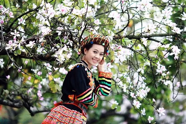 Ban trắng như nét đẹp dịu dàng duyên ngầm của người thiếu nữ