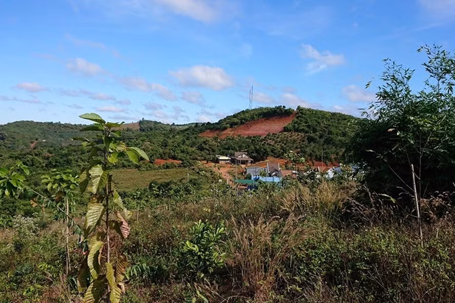 Nơi được chọn làm dự án xây trụ sở cho Đoàn ca múa nhạc dân tộc tỉnh Đắk Nông. Ảnh: LX