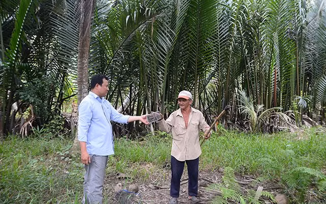 Chuẩn bị đặt bẫy chuột.