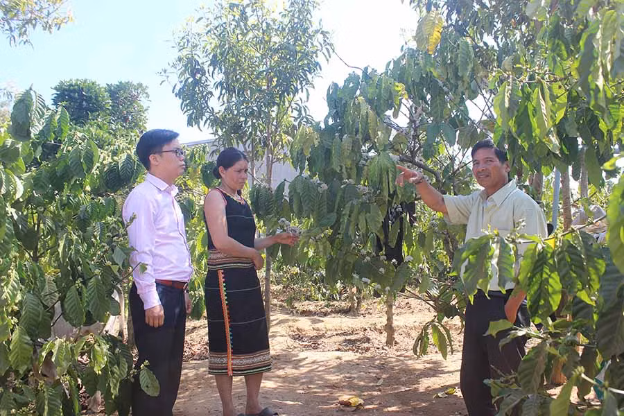  Cán bộ Phòng Giao dịch Ngân hàng Chính sách Xã hội huyện Mang Yang kiểm tra tình hình sử dụng vốn của hộ vay làng Kret Krot (xã Hà Ra). Ảnh: S.C 