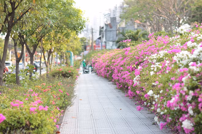  Khung cảnh hữu tình khiến nhiều người trẻ thích thú - Ảnh: Tấn Đạt
