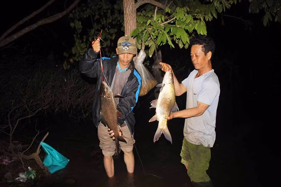  2 con cá trôi câu được ở hồ Ia Mlah (huyện Krông Pa). Ảnh: H.S