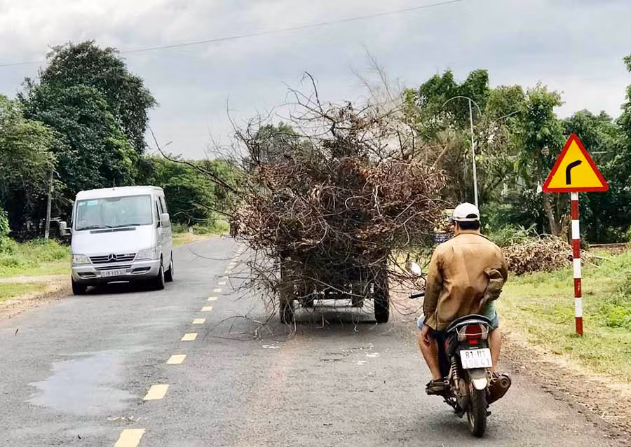  Ảnh: Trần Dung