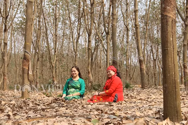 Nhiều du khách còn thuê cả áo dài chụp ảnh lưu lại khoảnh khắc đẹp trong những ngày đầu năm mới.