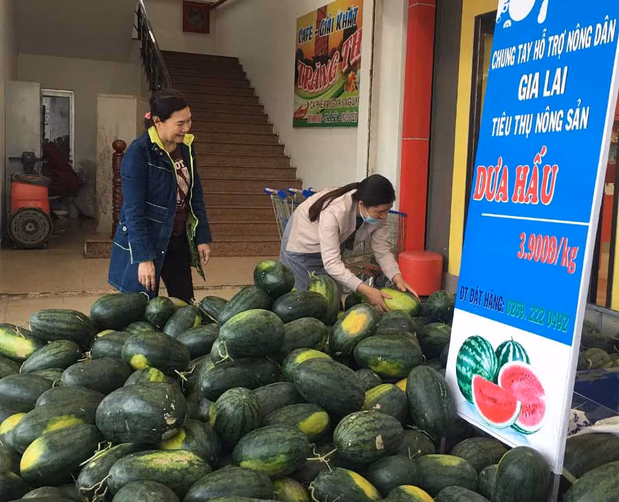 Khách hàng mua dưa hấu tại Siêu thị Co.op Mart Pleiku để hỗ trợ nông dân. Ảnh: V.T